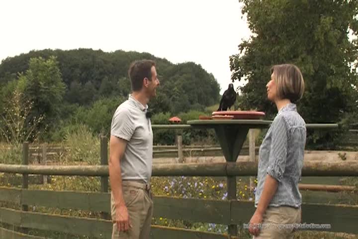 Thumbnail image for Ethical Programs - Helping Animals - Saving Lives - Raven Rana - March 13 2025