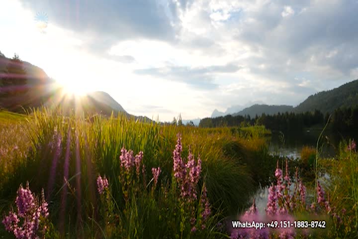 Thumbnail image for Ethical Programs - Gabriele - Meditation - Our True Being - April 16 2025