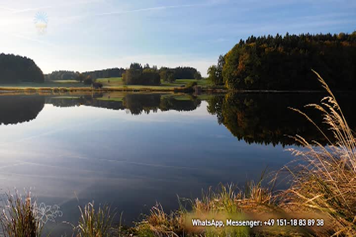 Thumbnail image for The Free Communities - The Call of the Soul for Liberation - by Gabriele