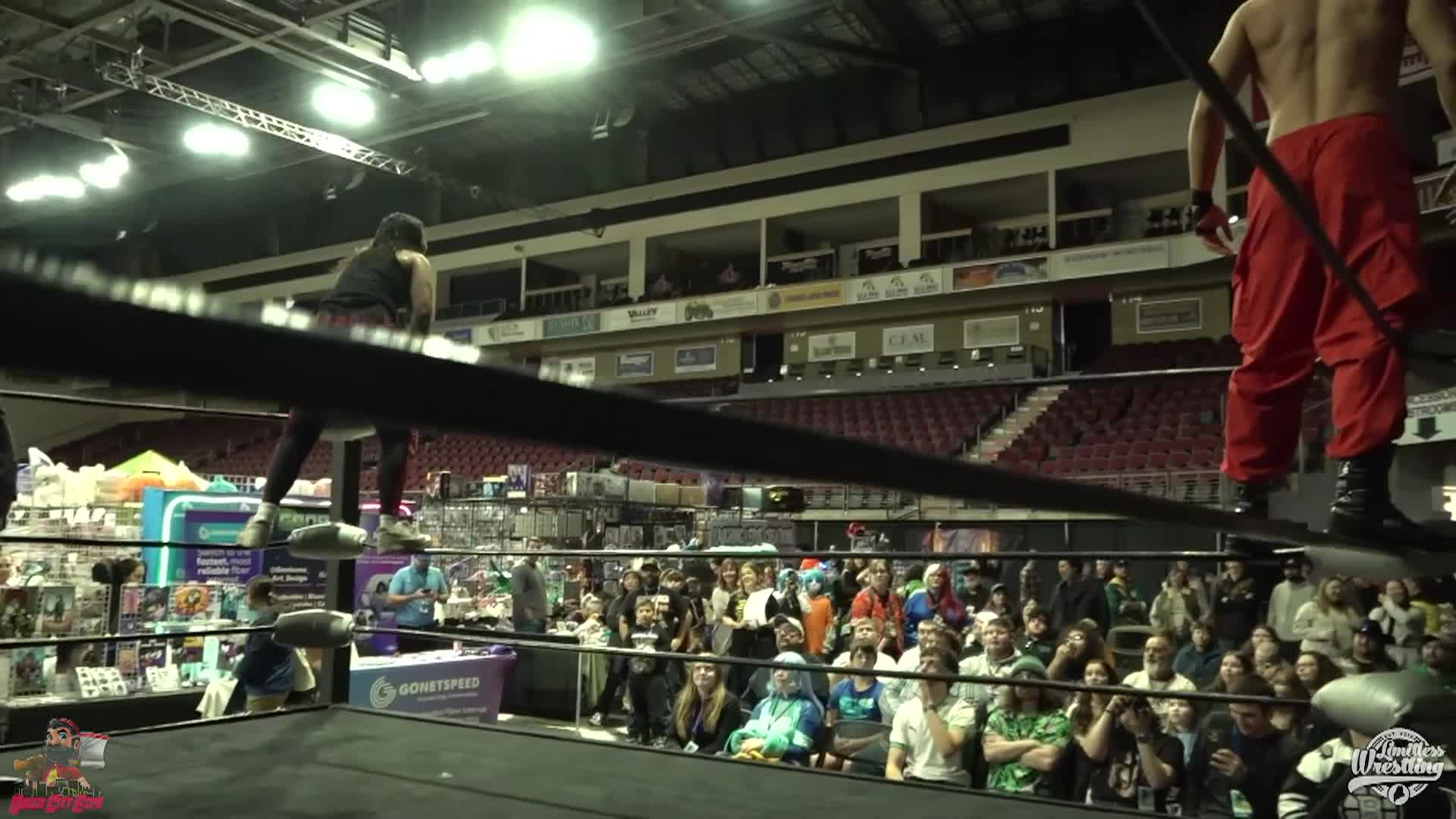 Thumbnail image for Limitless Wrestling