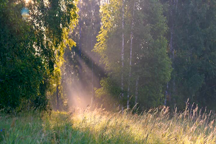 Thumbnail image for Inner Devotional - Our Eternal Heritage is Light (10)